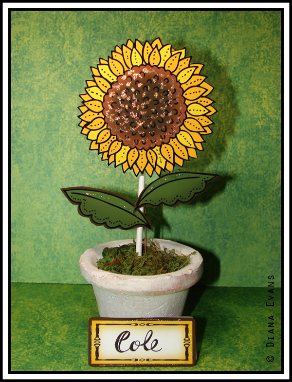 sunflower place tags